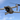DJI Mavic Air