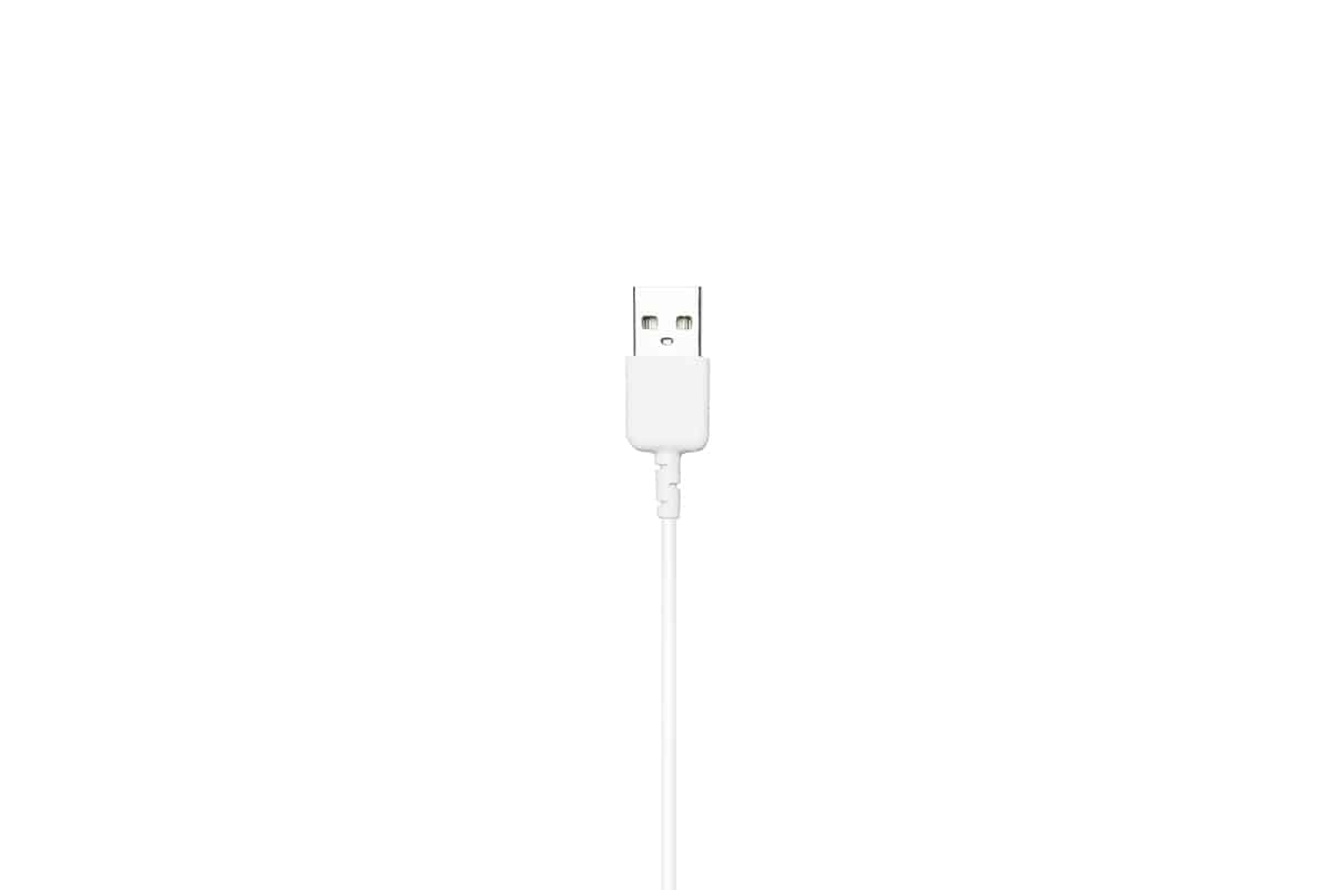 DJI RC Cable (Lightning to USB)